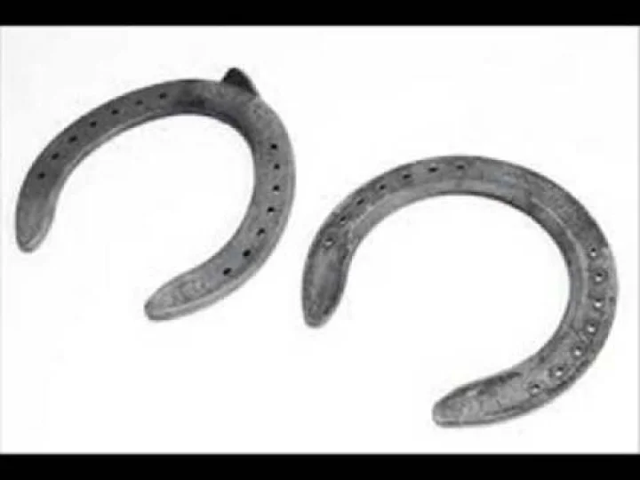 ಬೆಂಗಳೂರು