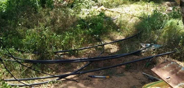 ರೈತರು