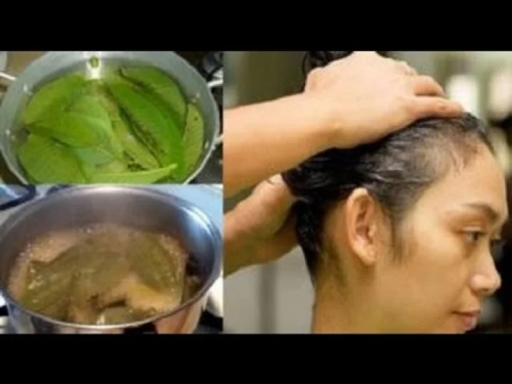 ಬೆಂಗಳೂರು 