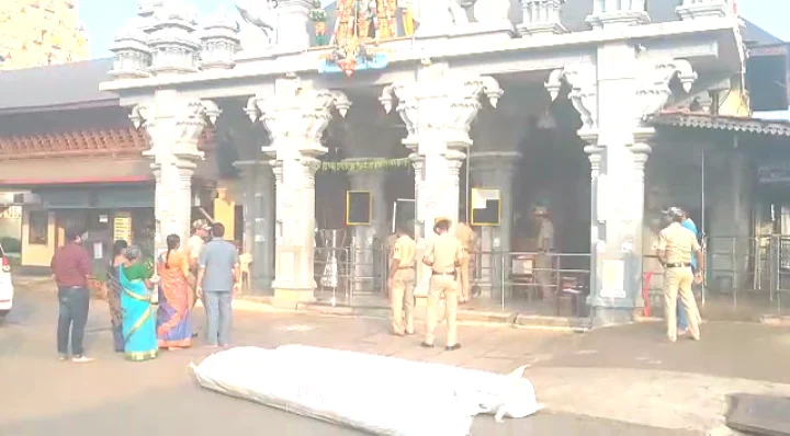 ಕೃಷ್ಣಮಠ