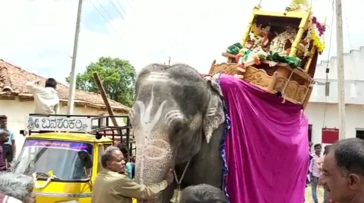 ಅಂಬಾರಿ