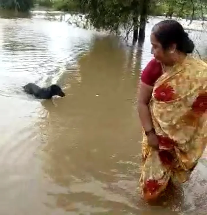 ನದಿ ನೀರು