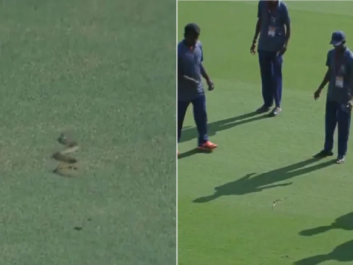 ರಣಜಿ ಕ್ರಿಕೆಟ್