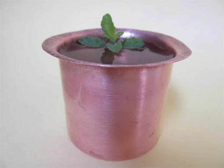ಬೆಂಗಳೂರು