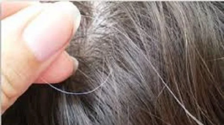 Premature Graying Hair मुलांचे केस आतपासूनच पांढरे होऊ लागले आहेत का? त्यांना हे 5 पदार्थ खाऊ द्या, केस नैसर्गिकरीत्या काळे होतील