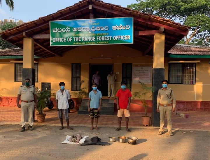 ಕಡವೆ ಬೇಟೆ