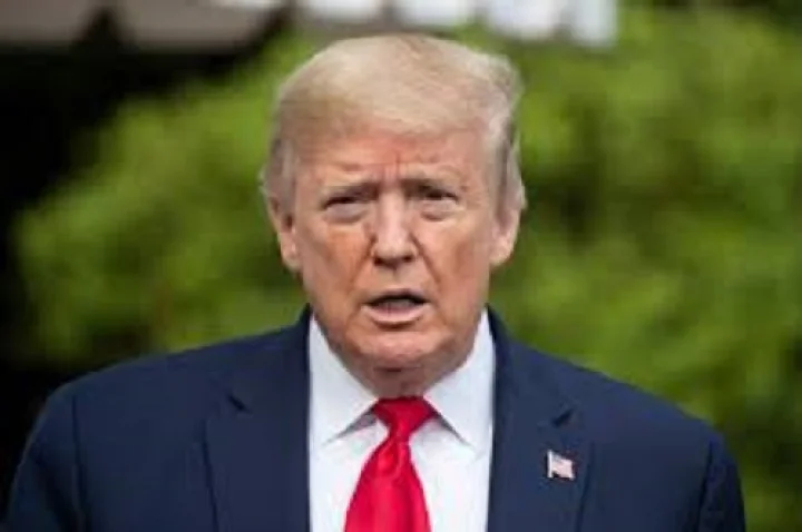 donald trumps