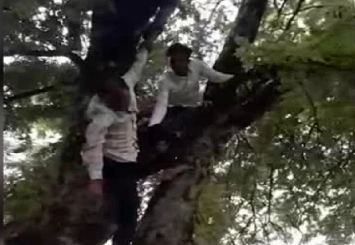 ಮದ್ಯದ ನಶೆ