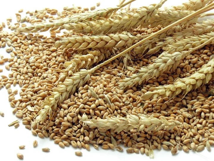 ಲಸಿಕೆ