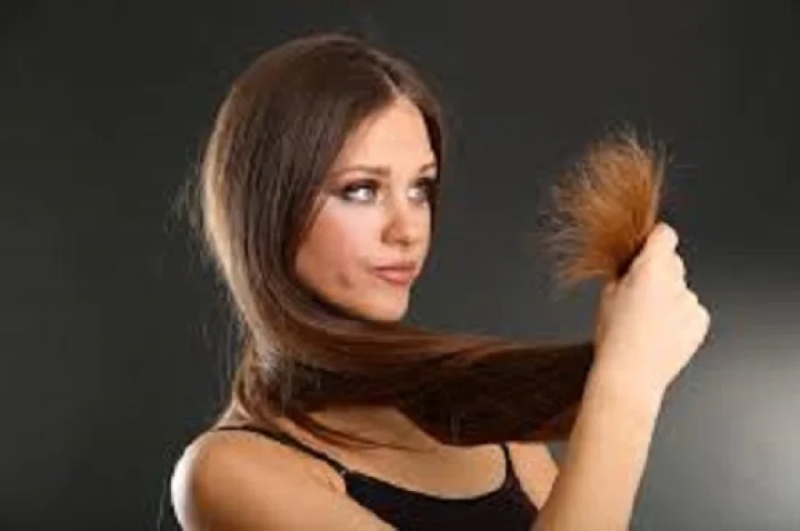 ಬೆಂಗಳೂರು