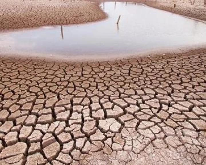 webdunia