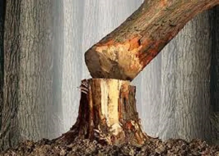 ಬೆಂಗಳೂರು