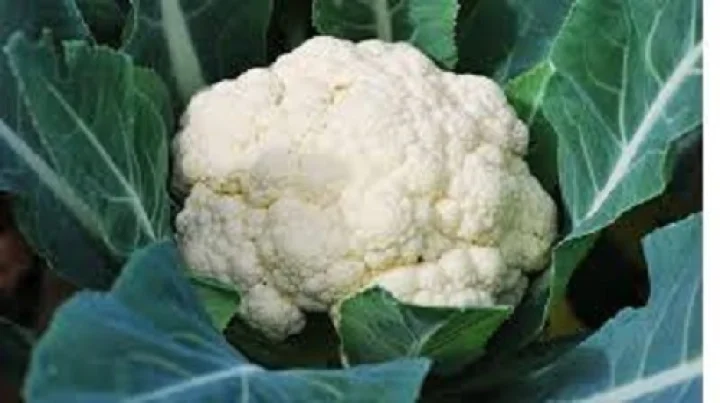ಬೆಂಗಳೂರು