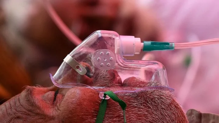 ಬೆಂಗಳೂರು