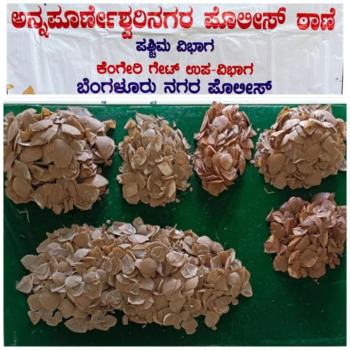 8 ಕೆಜಿ ತೂಕದ ಹಂದಿ ಚಿಪ್ಪುಗಳು ಪೊಲೀಸ್ ವಶ