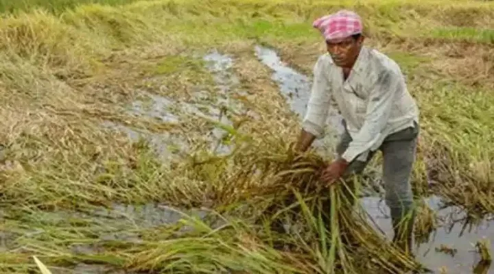Important news for farmers! Agriculture budget will be presented for the first time