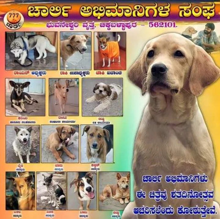 ರಕ್ಷಿತ್ ಶೆಟ್ಟಿ