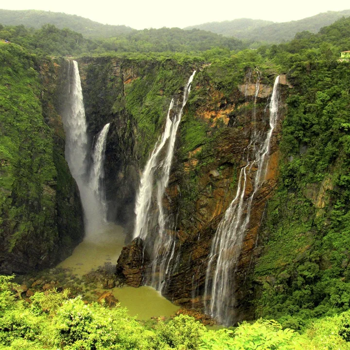 ಜೋಗ ಜಲಪಾತ