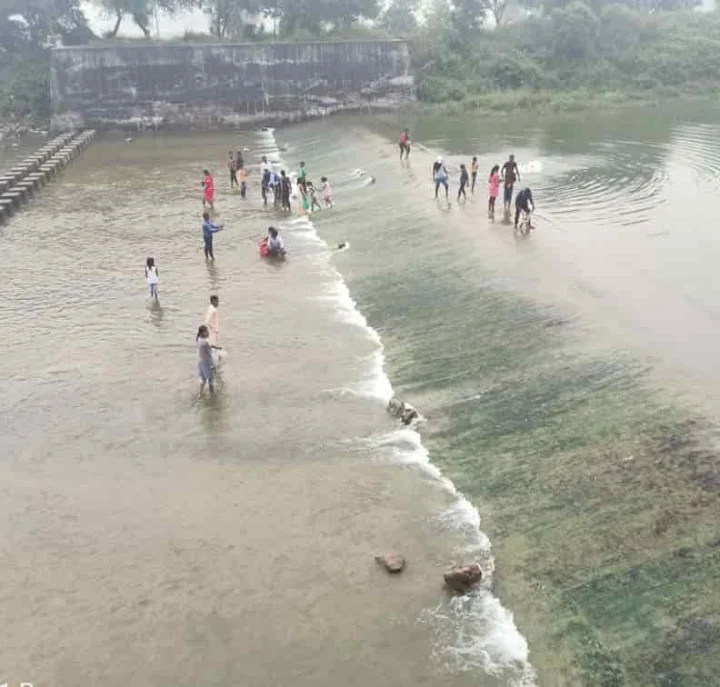 ಭಾಗಮಂಡಲ