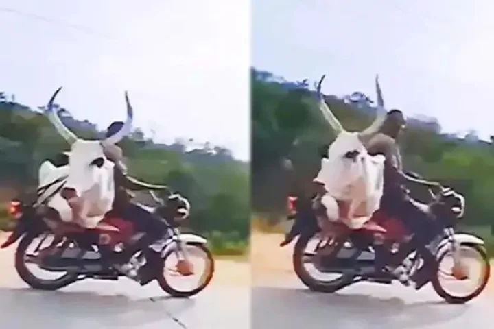 Crime