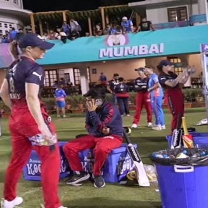 ಎಲ್ಸೆ ಪೆರಿ