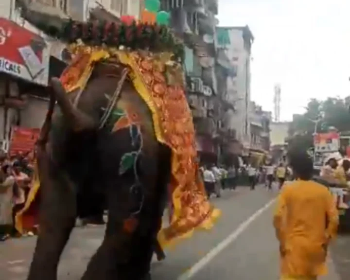 ಅಹಮದಾಬಾದ್ ಆನೆ ವಿಡಿಯೋ