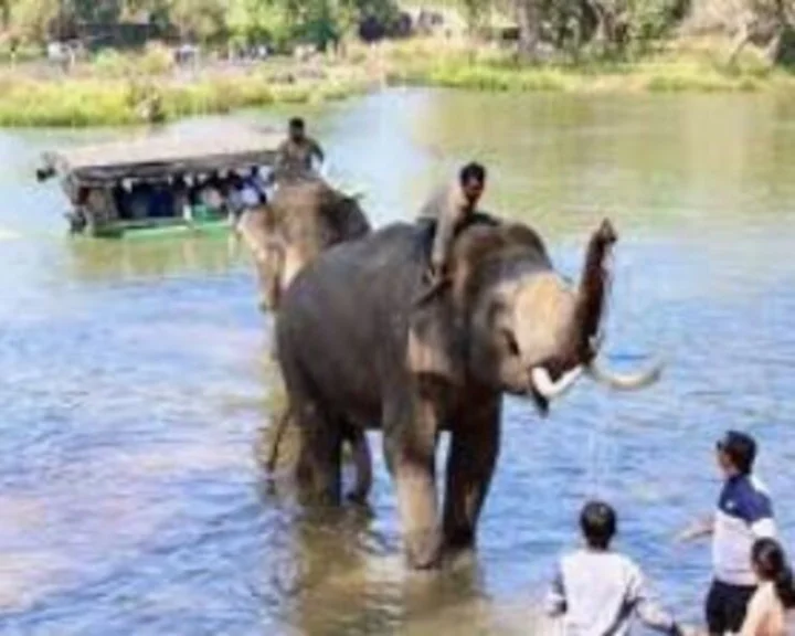 Kodagu Elephant Camp