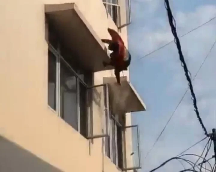webdunia
