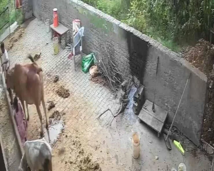 webdunia