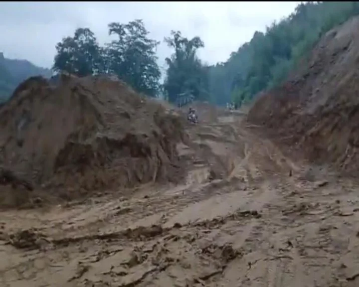 Viral video landslide