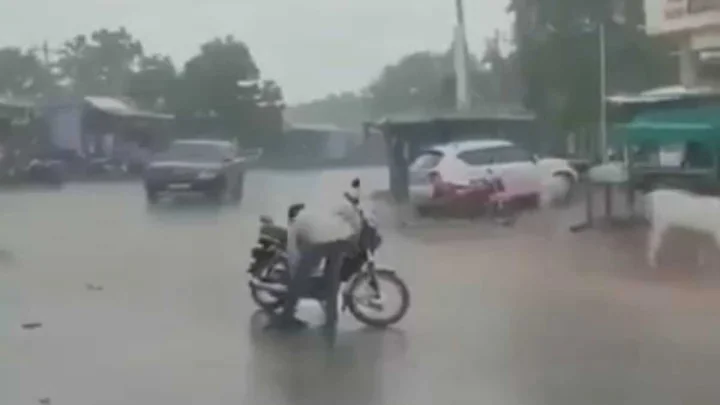 Viral video farmer