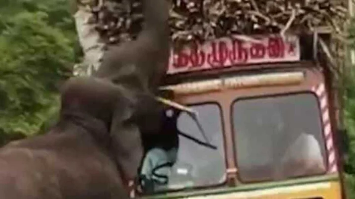 ತಿನ್ನಕ್ಕೆ ಕೊಡೋ... ಕಬ್ಬಿನ ಲಾರಿ ಅಡ್ಡಗಟ್ಟಿ ಕಾಡಾನೆ ಮಾಡಿದ್ದೇನು ನೋಡಿ Video
