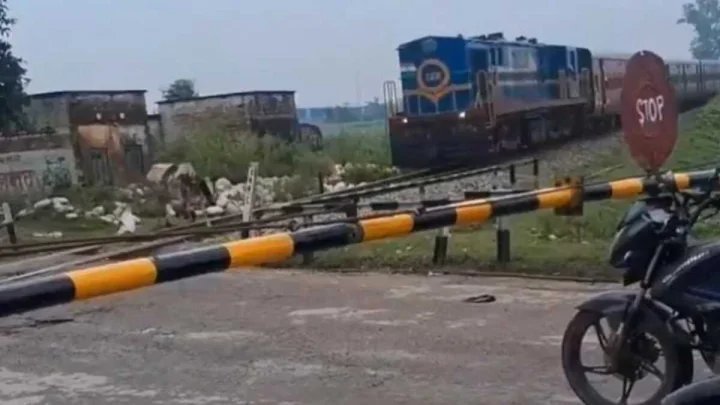 Train hits cow