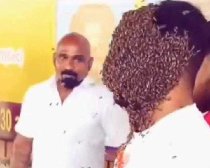 Tamil Nadu honey bee record