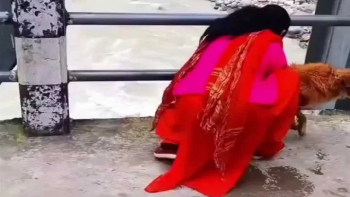 Nepal Woman throw dog