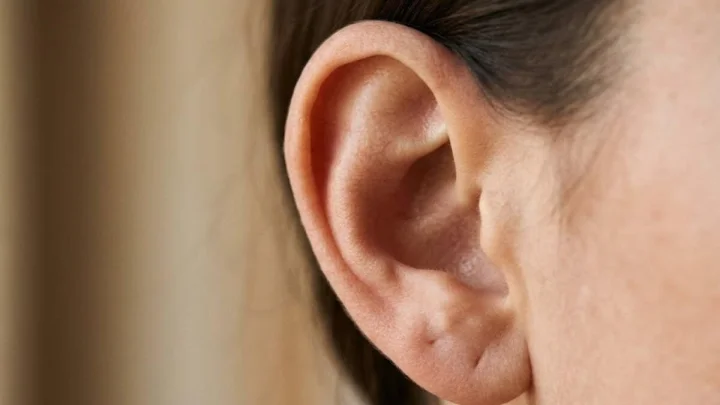 Ear