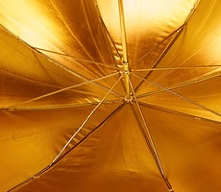 सोन्याचे भाव वाढले