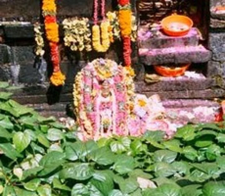 പനച്ചിക്കാട്