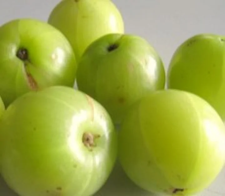 നെല്ലിക്ക 