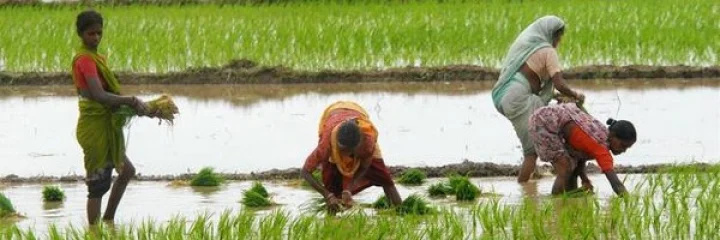 Union Budget 2017 News - Live