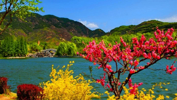 jammu kashmir