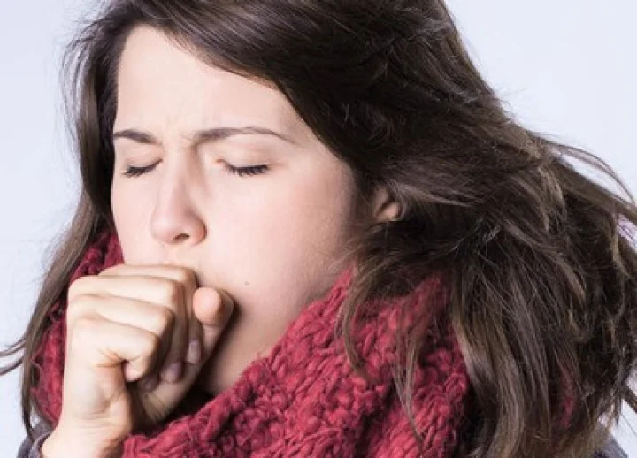 കര്‍പ്പൂരം