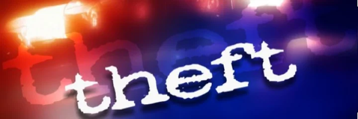 Major theft at a wedding ceremony in Palghar district