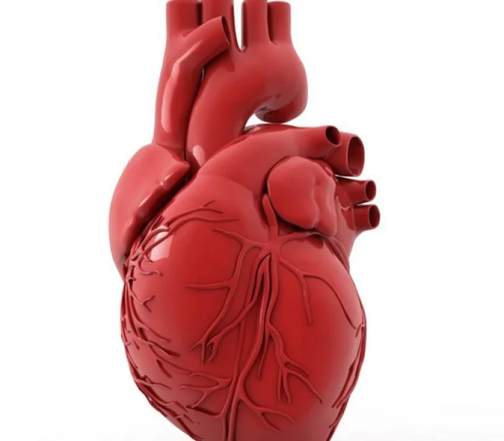 kolhapur-25-year-old-youth-heart-donation-transplanted-in-pune-after-accident-organ-transplant