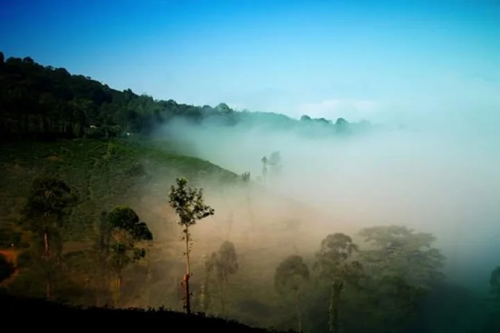 Wayanad - Sightseeing Holy Land वायनाड - प्रेक्षणीय पवित्र भूमीTourism Marathi Bharat Darshan Marathi  In Webdunia Marathi