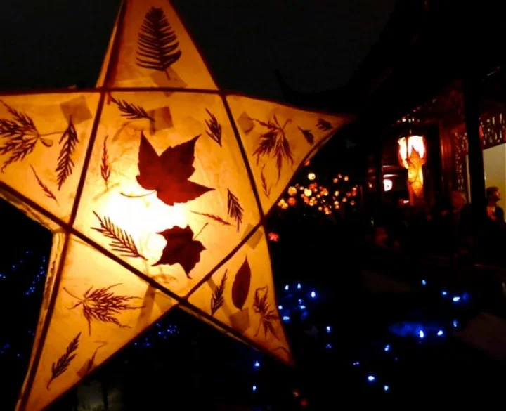Christmas Star 