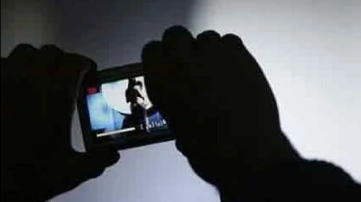 भारतीय पायलट बघत होता अश्लील व्हिडिओ, व्हिसा रद्द