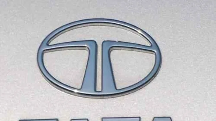 Tata IPO ‘टाटा’आयपीओ : विश्लेषकांमध्ये उत्साह