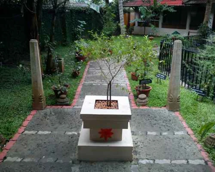 വാർത്ത ആത്മീയ തുൾസിത്തറ News Spiritual Thulasithara