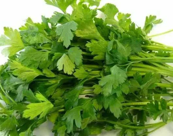 ആരോഗ്യം